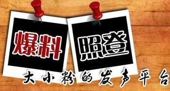 本地爆料新闻怎么写,[具体事件]引发热议，详情揭秘