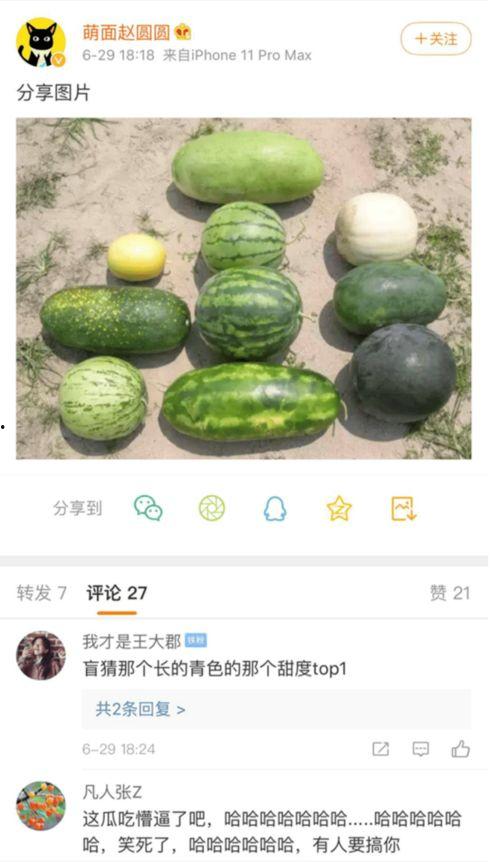 最新新瓜爆料,神秘事件背后真相揭晓